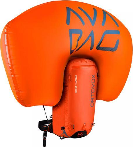 Actual product image Ortovox Ascent 22 (22 l)