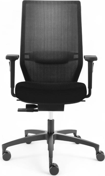 Dauphin Shape Mesh (40 - 52 cm)