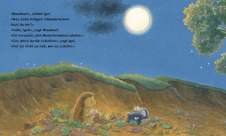 Image du produit Was leuchtet in der Nacht? (Allemand, Jonathan Emmett, 2023)