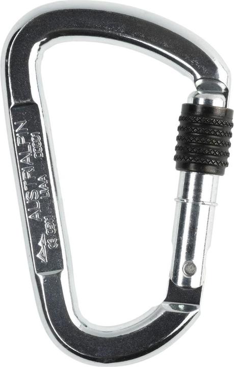 AustriAlpin D Asymm screw cap carabiner