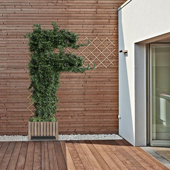 Immagine prodotto Relaxdays 3x traliccio (1.50 cm, 230 cm)