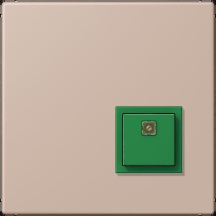 Actual product image JUNG Switch-off button