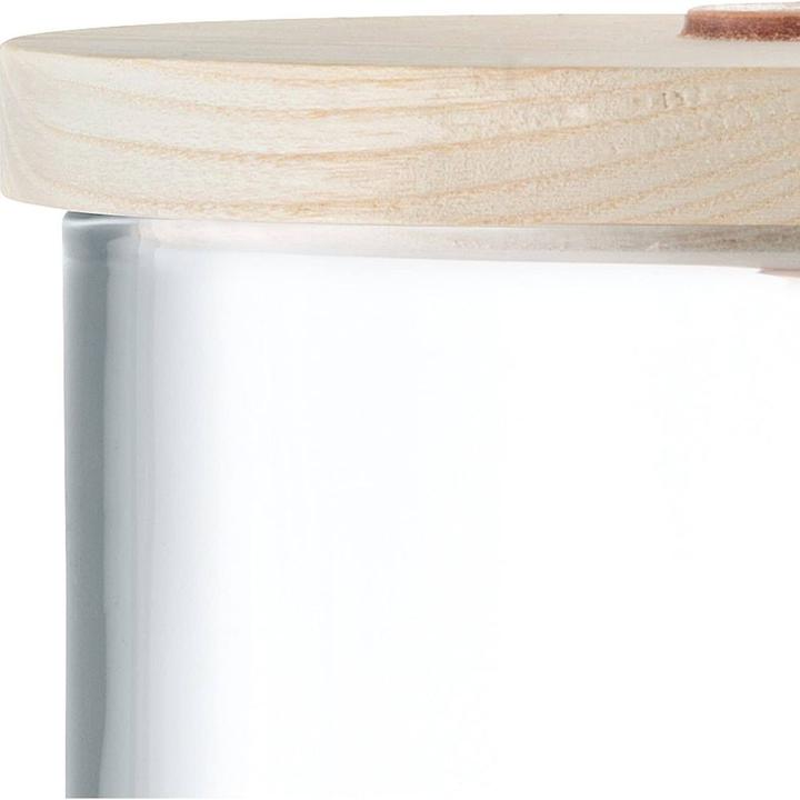 Actual product image LSA Ivalo Ash Container & Lid H15.5cm - clear (1.70 l)