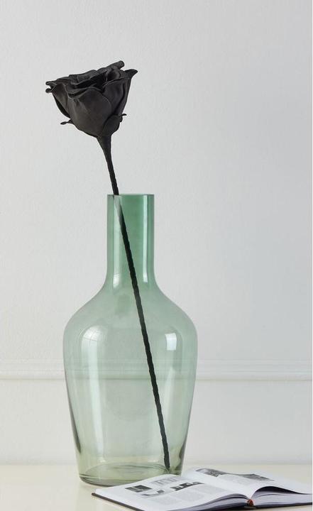 Immagine prodotto EGLO LIVING Molave (65 cm)