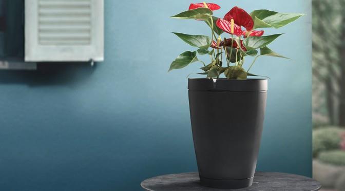 Produktbild Parrot Flower Power Pot Pflanzensensor