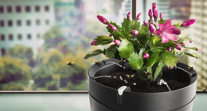 Produktbild Parrot Flower Power Pot Pflanzensensor