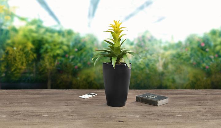 Produktbild Parrot Flower Power Pot Pflanzensensor