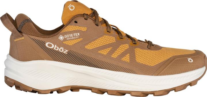 Actual product image Oboz Katabatic LT Low GTX (41)