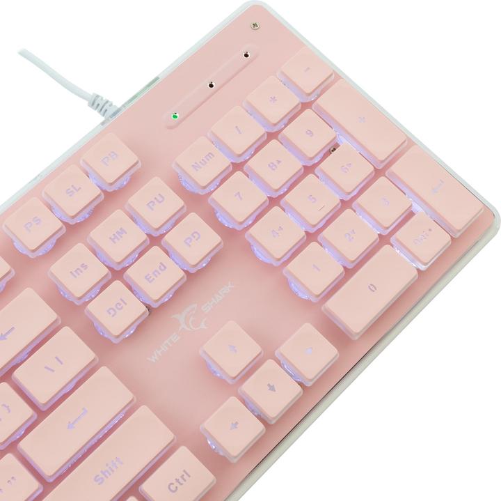 Actual product image Shark GK-003441 Tachi Pink US (US)