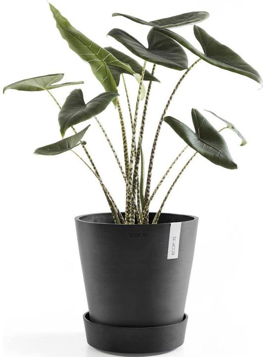 Produktbild Ecopots Saucer on Wheels