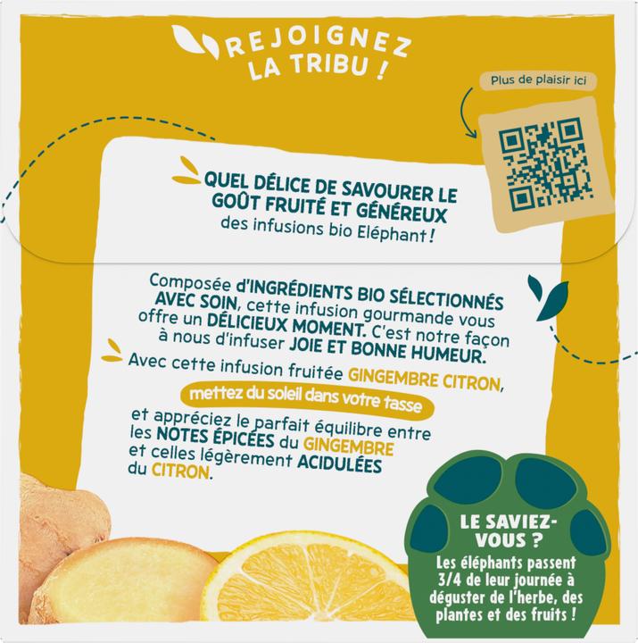 Image du produit Elephant BIO Infusion Gingembre Citron (34 g)