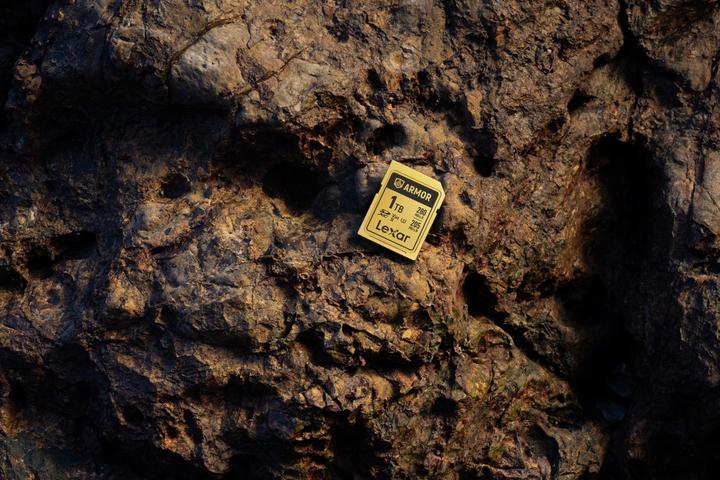 Productafbeelding Lexar Armor Gold (128 GB, SDXC, U3, UHS-II)