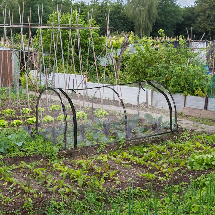 Actual product image Relaxdays Foil greenhouse