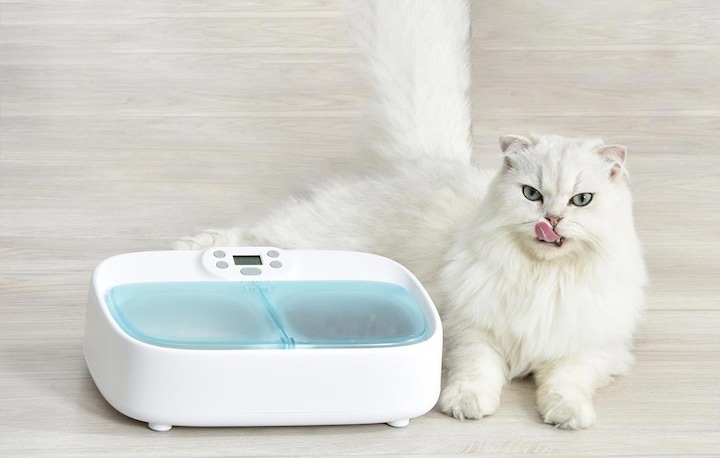 Actual product image Petoneer Two-Meal Pet Feeder (0.36 l)