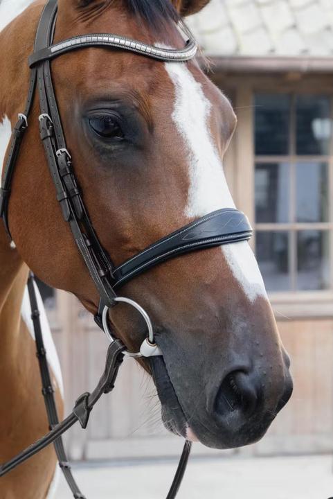 Image du produit Dy'on Muserolle cheval sans sous barbe anatomique cuir