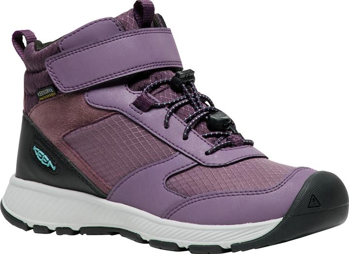 Plum Perfect, Black Plum