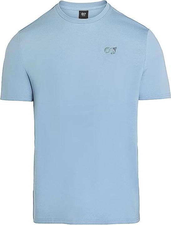 Clouded Blue, Hellblau