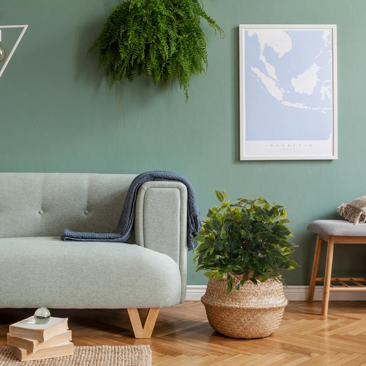 Produktbild Hjh Office Ficus Ii (65 cm)