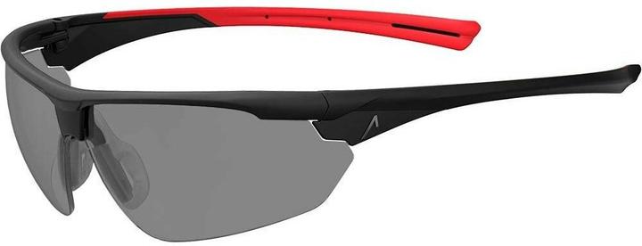 Image du produit Ace Schutzbrille Evo EN166 Getönt Smoke