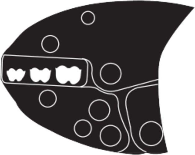 Produktbild Weidmüller Crimpzange Aderendhülsen 25 bi (250 mm)