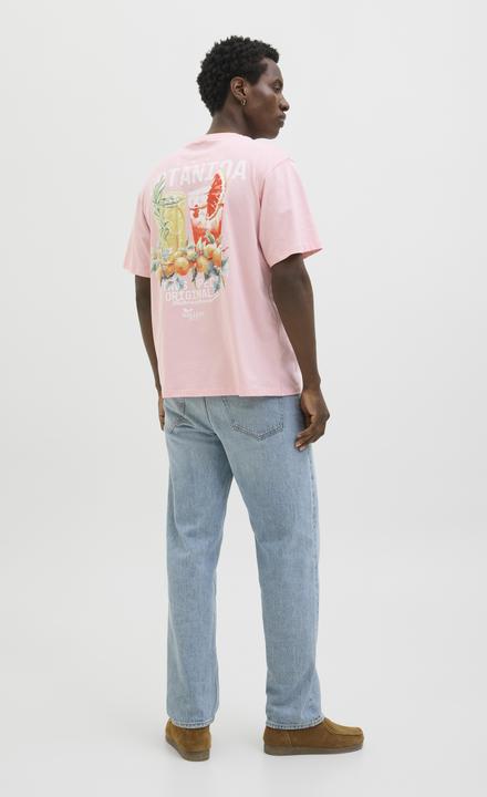 Produktbild Jack & Jones Jorbotaniq Tee Ss Crew Neck Tg Ln (XL)