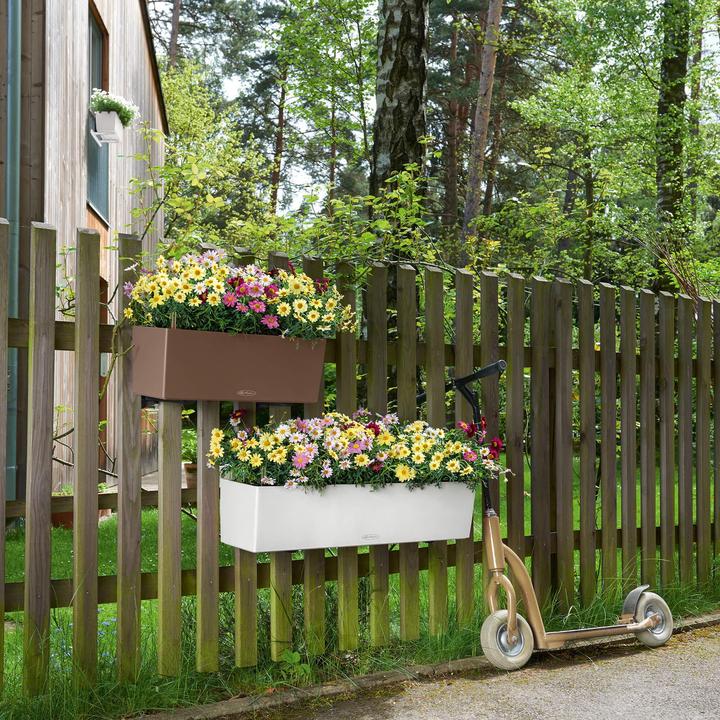 Productafbeelding Lechuza Balconera Kleur (50 x 19 x 19 cm)