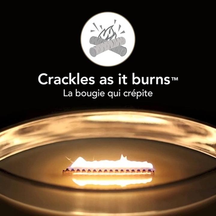 Immagine prodotto WoodWick Fireside Ellipse (453 g)