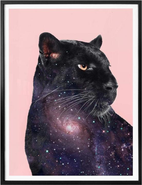 Immagine prodotto Trenddeko Sciolto - Pantera galattica (40 x 50 cm)