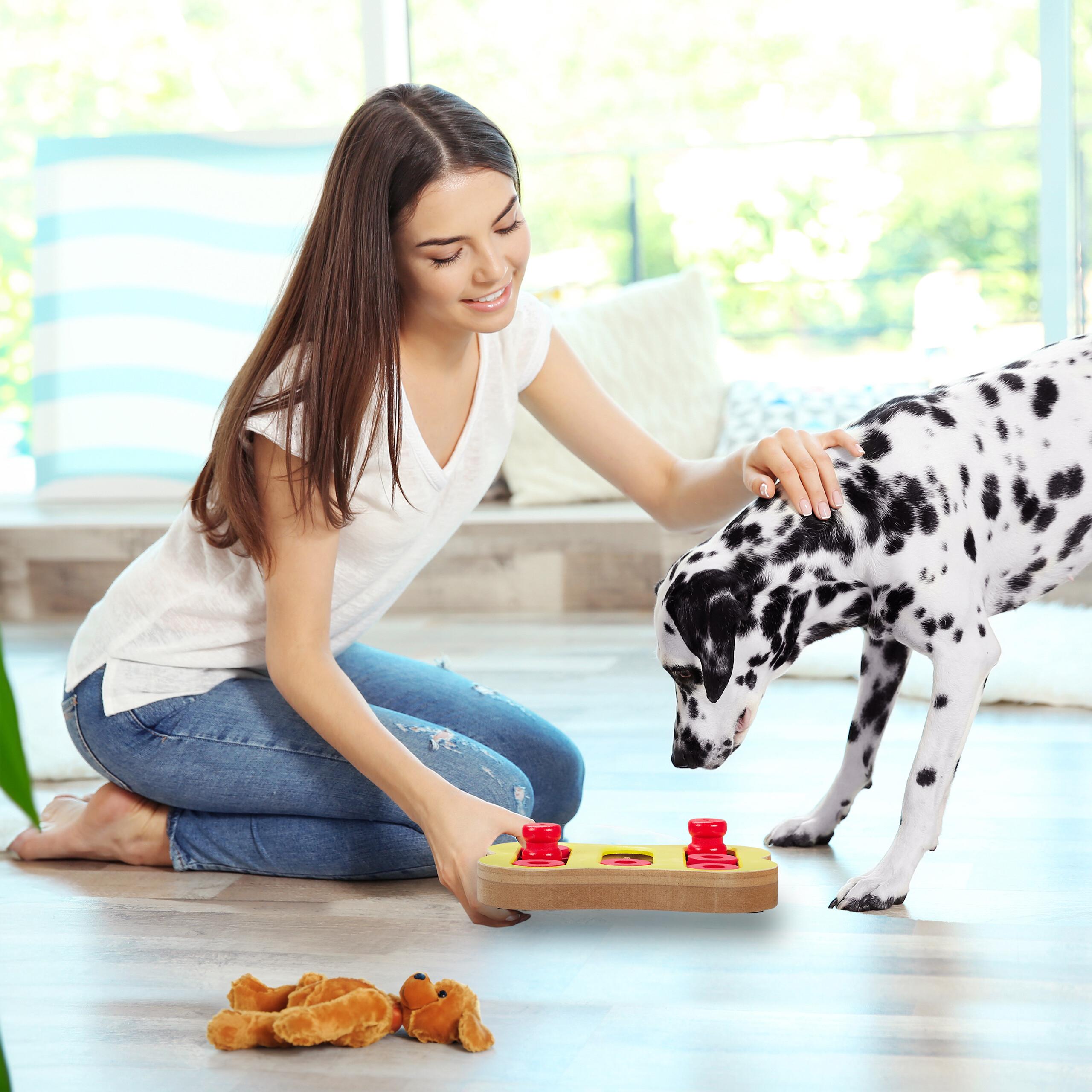 Thumbnail - Relaxdays Hunde-Intelligenzspielzeug (Lern- & Intelligenzspielzeug), Hundespielzeug