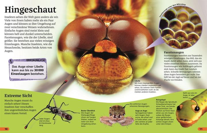 Produktbild Superchecker! Insekten (Deutsch, Andrea Mills, Brigitte Rüssmann, Wolfgang Beuchelt, 2022)