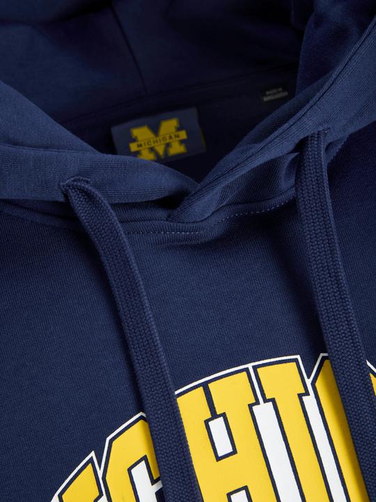 Produktbild Jack & Jones Jjmichigan Sweat Hoodie (S)