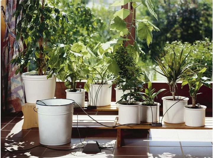Productafbeelding Gardena Vakantie bewateringsset (Set druppelirrigatie)