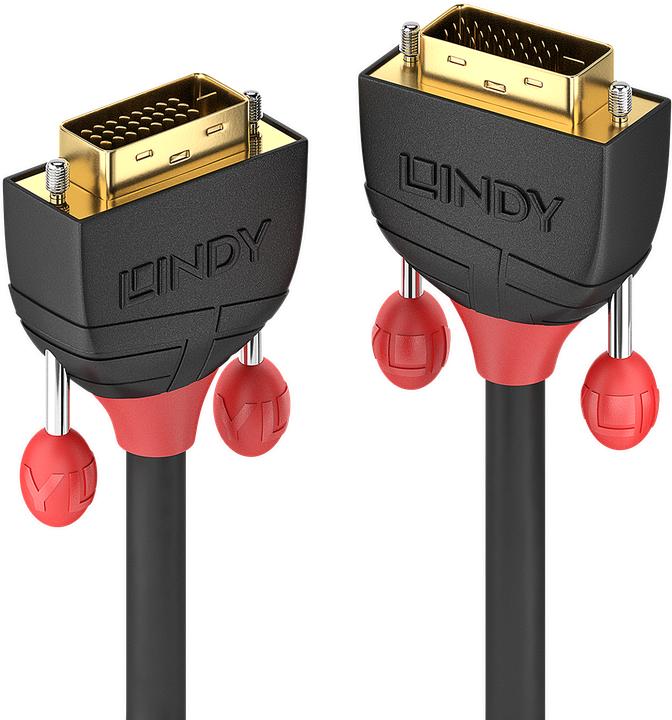 Image du produit Lindy Dvi — Dvi (1 m, DVI)