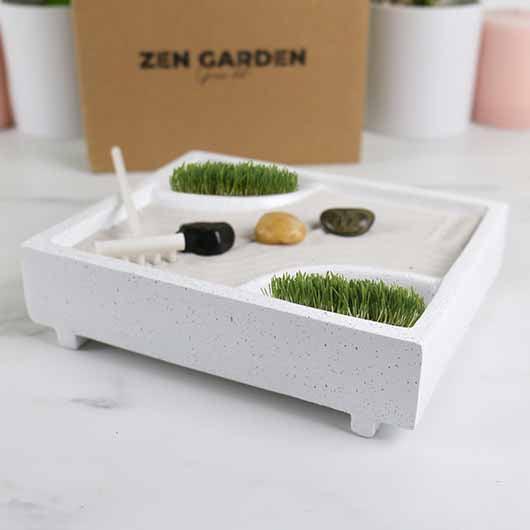 Actual product image Gift Republic Zen Garden Kit - Home Decoration (17 cm, 12.50 cm)