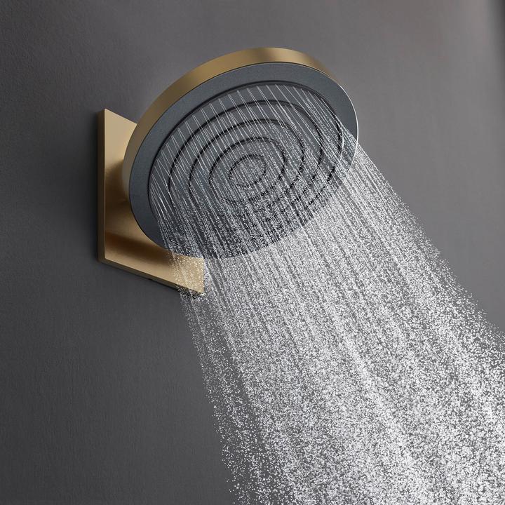 Actual product image hansgrohe Pulsify S overhead shower 260 1 spray type (EcoSmart), 24141 (1 Beam types)