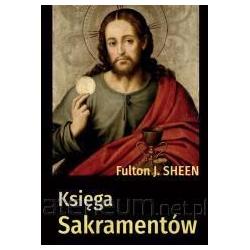 Oceanic Ksi?ga sakrament?w, Batterien + Akkus