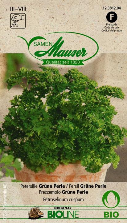 Image du produit Samen Mauser Perle verte (Graines d'herbes aromatiques)