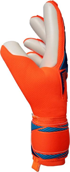 Actual product image Reusch Attrakt Freegel Advance (8)