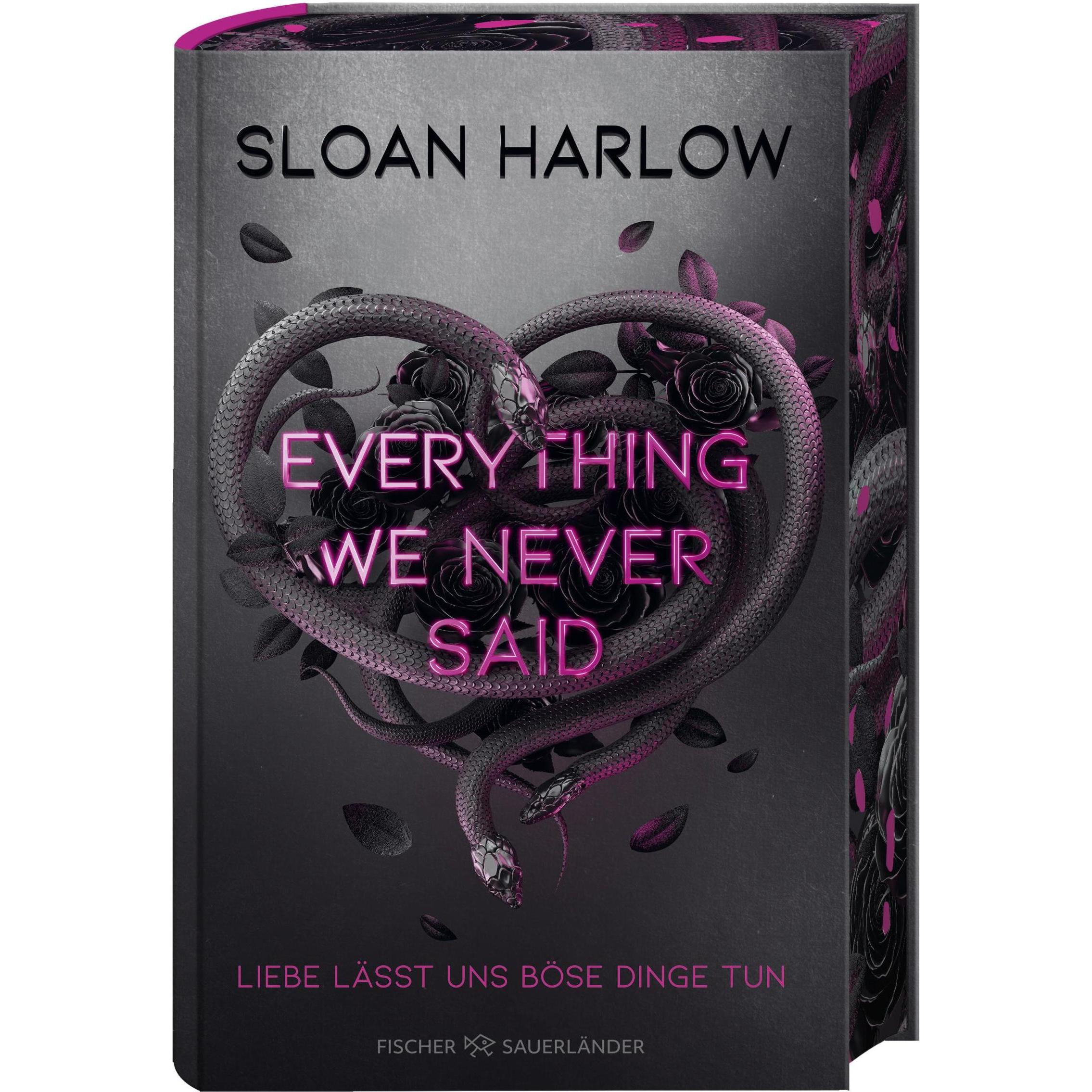 Everything We Never Said - Liebe lässt uns böse Dinge tun, Libro per bambini di Sloan Harlow, Bellezza cavaliere