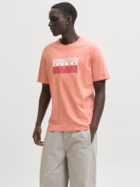 Produktbild Jack & Jones Jcofusion Dots Print Tee Ss Crew Sn (M)