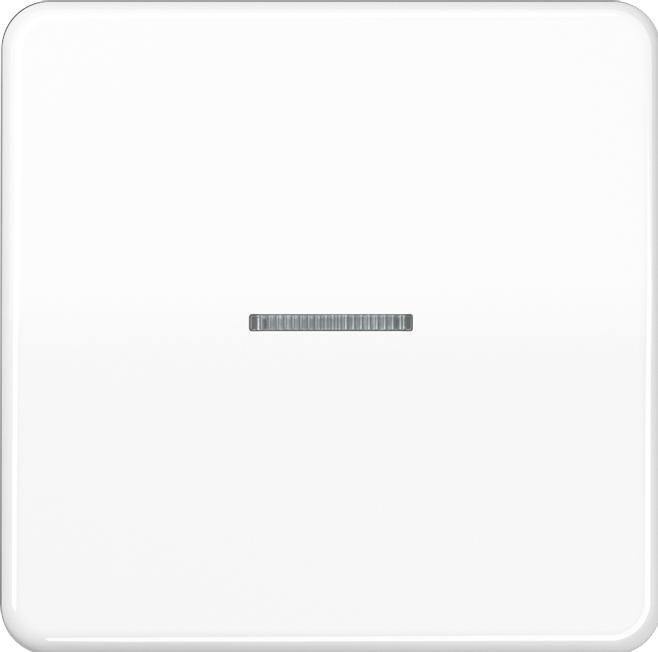 Actual product image JUNG BTCD17101P HOME push-button 1gang m