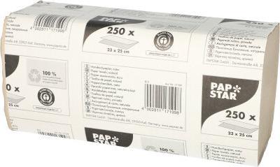 Actual product image Papstar Sheet Towel Paper V-Fold Nature Zig Zag (250 x)