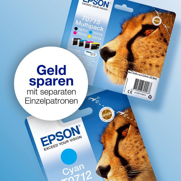 Actual product image Epson T0711 DuraBrite Ultra (FC)