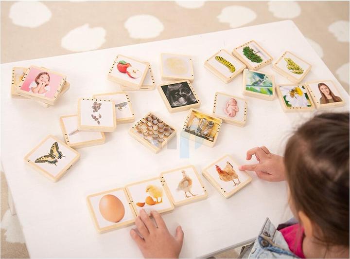 Actual product image TickiT Wooden life sequence picture tiles