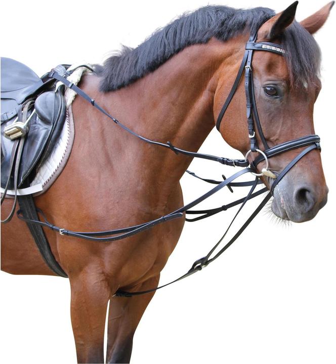 Actual product image Kerbl Triangle reins