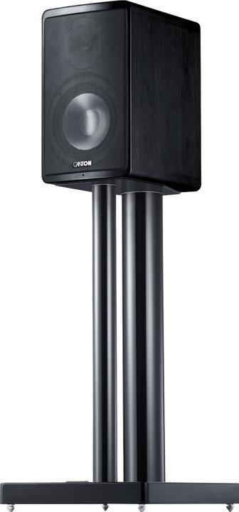 Actual product image Canton Ergo 620 (1 pair, 130 W)