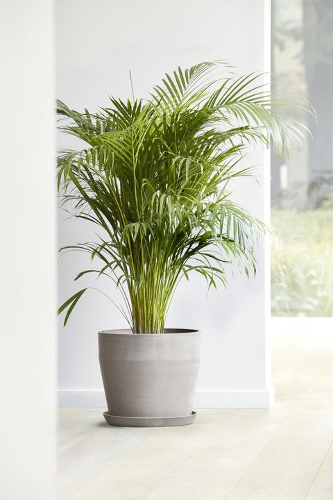 Produktbild Ecopots Sankara