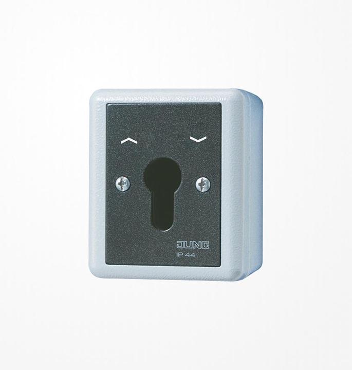 Actual product image JUNG Key switch
