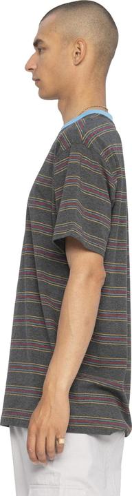 Actual product image Santa Cruz Classic Strip Stripe T-Shirt (M)