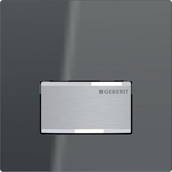 Actual product image Geberit Urinal control with pneumatic (lava/plastic)